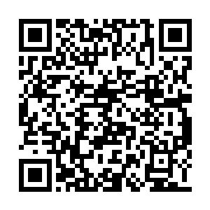 但是他们却有无数办法让梓箐过的比以前更痛苦二维码生成