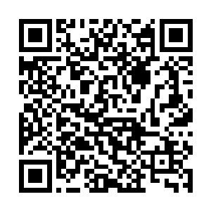 但是他们却经历过其他学院的学生没有经历过的磨练二维码生成