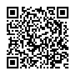 但是他们却都从杨戬的身上感受到了一股无比恐怖的浓浓的威胁二维码生成
