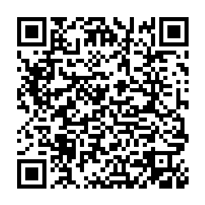 但是他们白家的人经过了那一日之后就没有不害怕东黎墨的实力的二维码生成