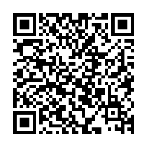 但是他却是要留下来负责本次比赛的一些的相关的宣传工作指导二维码生成