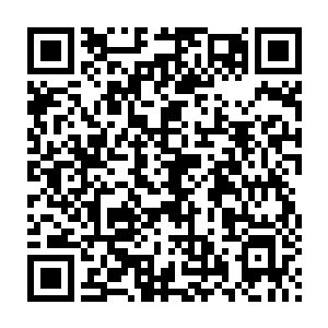 但是他史蒂夫也是大功一件的……瑞奇红桃a的身份已经空置出来了二维码生成