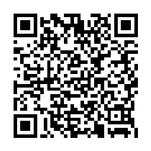 但是他明明感受到那攻击确实是落在了他的身上二维码生成