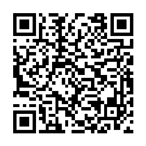 但是他的一切努力都在气势如横的德军面前失败了二维码生成