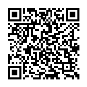 但是他的一身实力最大的依靠还是那恐怖的毒素二维码生成