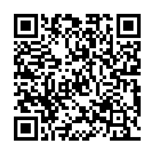 但是他的好日子在他弟弟妹妹的周岁生日之后宣告结局二维码生成