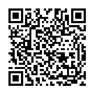 但是他知道这帮人也只有驹老大才是久经风浪的老鲨鱼二维码生成