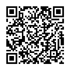 但是他自己带着自己的精英来追杀夏天他们却失败了二维码生成