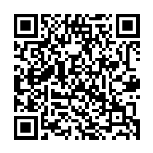 但是以她那个本体强度跳跃出来的速度并不比古原他们慢二维码生成