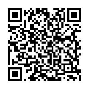 但是体内那澎湃的能量却是直接被龙傲天吸收了二维码生成