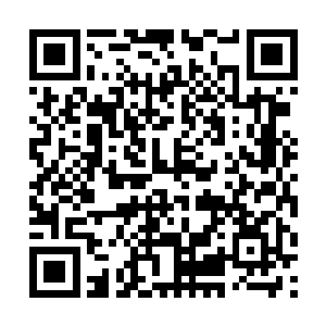但是你们不应该把我们南方修士的救世主许紫烟击伤二维码生成