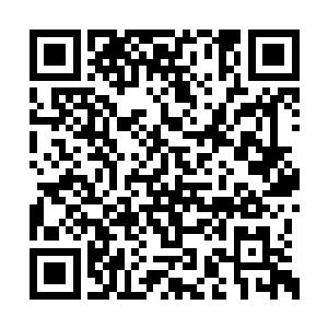 但是你们知道我得知没有人死去的时候多高兴吗二维码生成