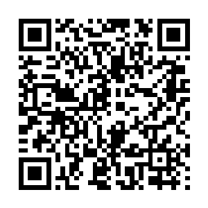 但是你的秘书没和我说哪些话该说哪些话不该说啊二维码生成