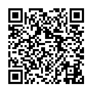 但是你进来之后现这里并不像是地狱而是像是天堂一般二维码生成