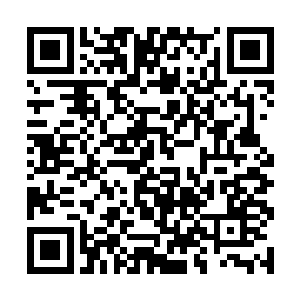 但是偶尔暴露出来的骄傲还是被许紫烟看得清清楚楚二维码生成