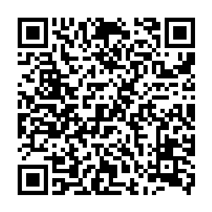 但是刚才突然出现的那一只黑色巨掌已经把雷天发出去的传音符给拍散了二维码生成