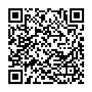 但是刚才那一下就算是一百个玄级高手一起冲向他二维码生成