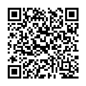 但是却再也没有一件的价格能够超越之前的雷魄石二维码生成
