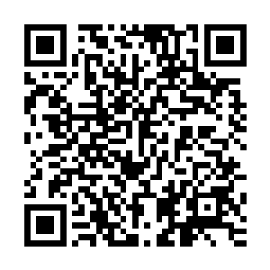 但是却并没有和吕腾乃至后来的韩业辰建立起多么密切的关系二维码生成