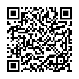但是叶莲娜和阿黛尔的交情也能算是生死之交了二维码生成
