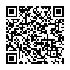 但是同时也会有大量的灵魂之力或者法则之力逸散出来二维码生成