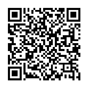 但是和那些血狼丧尸饭后遛弯儿一般的移动力已是天壤之别二维码生成