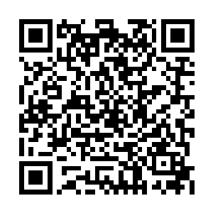 但是在其他方面却连正常人都不如的那种特殊人二维码生成