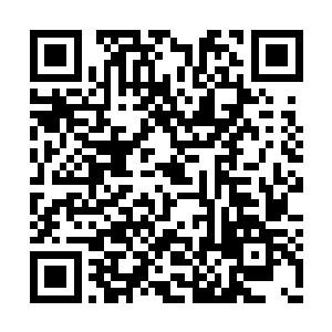 但是在听到雷天用灵识传音给他说的那句话之后二维码生成