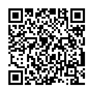 但是在她悄然跑到海精灵脉这儿看见流墨墨的情况后二维码生成