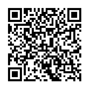 但是在曾经的一次天地大毁灭中已经断了一些传承二维码生成