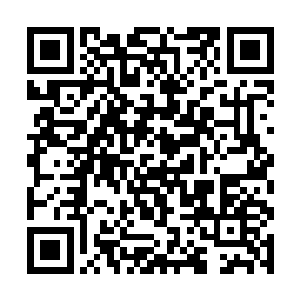 但是在秦方堪比大师级中后期的强大真气的催动之下二维码生成