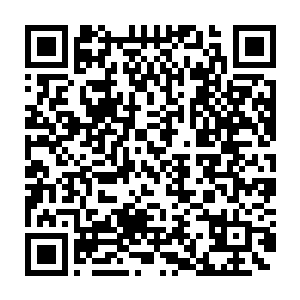 但是在许紫烟释放的月精轮之下也没有坚持到三息的时间便被凌迟二维码生成
