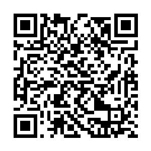 但是天赋之高的萝莉少女却找不到一个合适的师父二维码生成