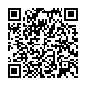 但是封神台的很多情况都超出了浩宇天尊的掌控二维码生成