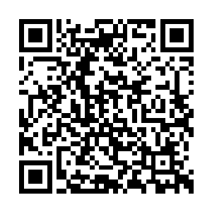 但是就在这个时候他们的头上洒下了无数的灰尘二维码生成