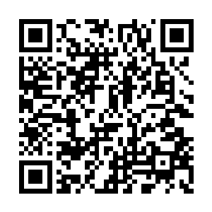 但是市常委班子成员的两名副市长却暂时没有动二维码生成