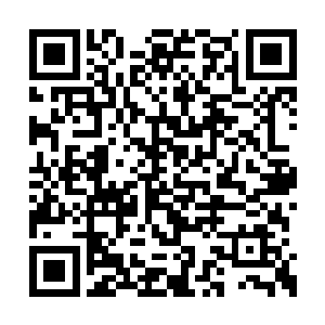 但是当他们进入浮空之城五十里的范围之内以后二维码生成