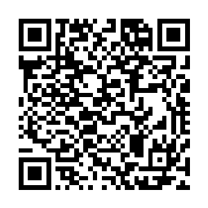 但是当墨小宝独自一人顺利越过了麒麟训练考核的沼泽丛林二维码生成