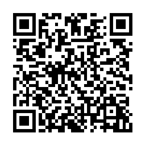 但是手放在麻布上不停摩挲的凌菲也十分的高兴二维码生成