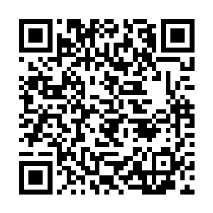 但是此时距离西海帝国的盛会只剩下五天左右的时间二维码生成