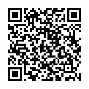 但是没想到这里的人把葡萄酒只是当成一种普通的果酒二维码生成