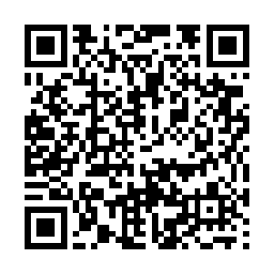 但是洛离等人没有看到・他和梵无劫滴血在花盆中二维码生成