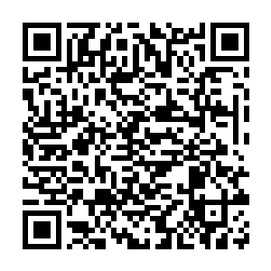 但是海德拉却并不介意这一点……他本有机会冲击十二主神尊为的二维码生成