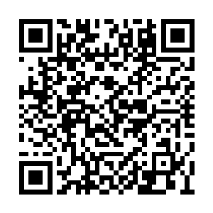但是满打满算也就勉强够一个至尊境强者的层次二维码生成