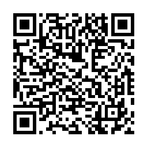 但是牛仔短裤诠释了什么叫大腿从肚脐眼就开叉了的概念二维码生成