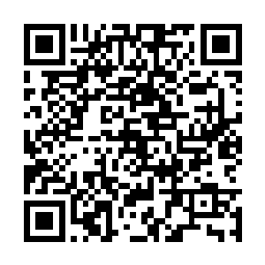 但是现在这个局势下唯一最好的选择就是安抚百姓二维码生成