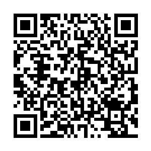 但是看李川的样子好像轻而易举地就消灭了刑天的核心种子二维码生成