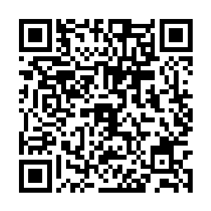 但是知道了这里有一种波动竟然能够无视防御护罩二维码生成