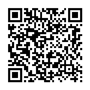 但是站在她身边一个温柔的女性却出手抓住了她的肩膀二维码生成