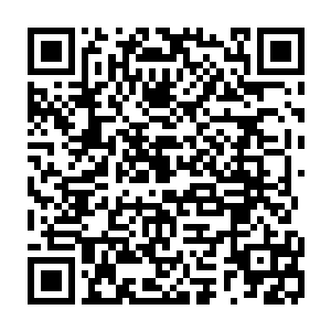 但是第一次听说母螳螂在和公螳螂交配之后就把公螳螂当成食物给吃下去了二维码生成